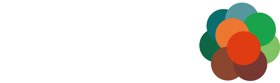 pitch logo white